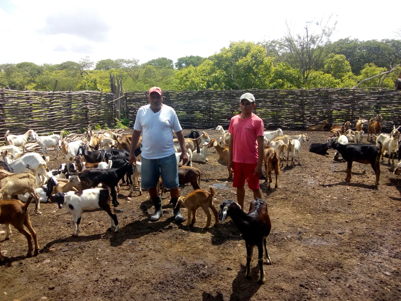 MELHORANDO A PRODUÇÃO E GERANDO RENDA, INOVAÇÃO TECNOLÓGICA FORTALECE A AGRICULTURA FAMILIAR NO CEARÁ