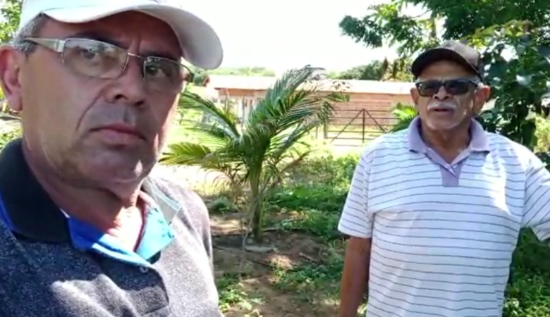 VÍDEO: CEALTRU ASSESSORA TECNICAMENTE E CONTRIBUI COM O CONHECIMENTO DOS AGRICULTORES NA CADEIA PRODUTIVA DA AVICULTURA NA REGIÃO DO CARIRI NO ESTADO DO CEARÁ