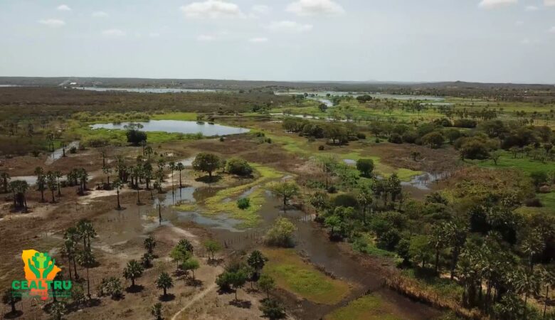 CEALTRU apresenta proposta para plano de manejo ambiental