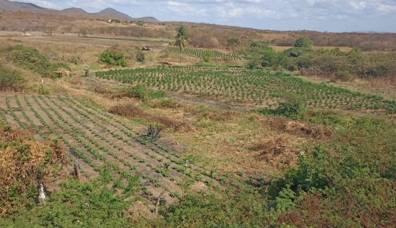 CEALTRU POSSIBILITA INTEGRAÇÃO DE POLÍTICAS PÚBLICAS, ATER E ACESSO AO CRÉDITO/FEDAF, NO INTERIOR DO ESTADO DO CEARÁ